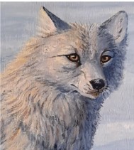 Dessiner et peindre des animaux