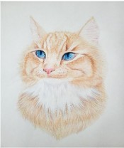 Dessiner et peindre des animaux – Image 3