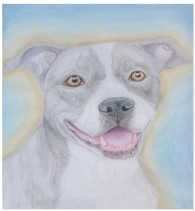 Dessiner et peindre des animaux – Image 4